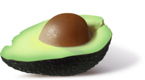 avocado-161822__340